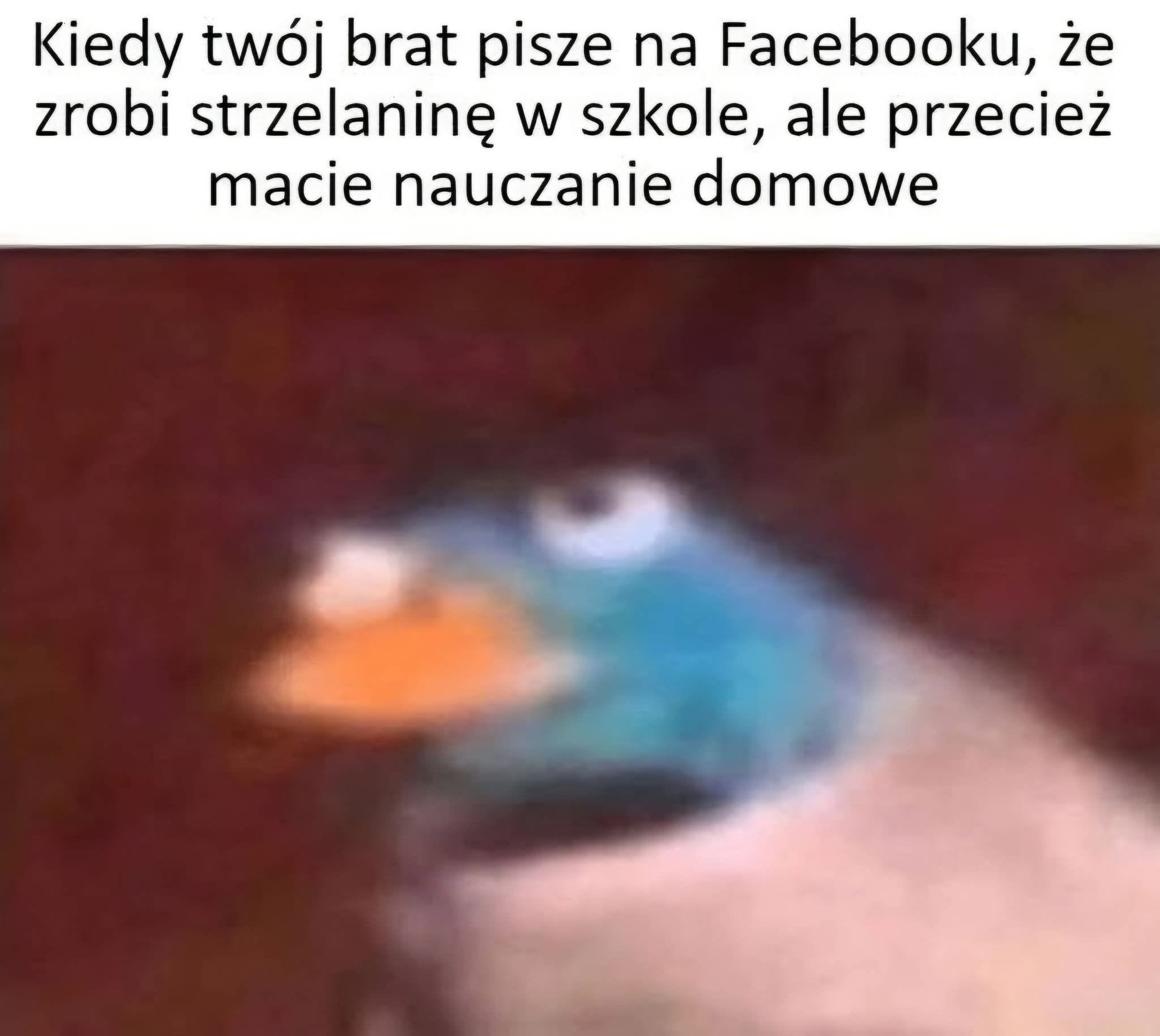 Nauczanie domowe